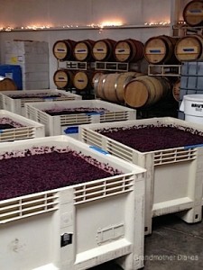 Inside Winery During Crush