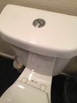 Dual Flush Toilet